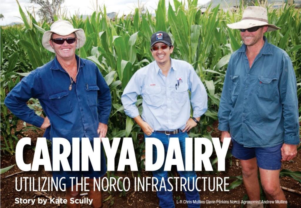 Carinya Dairy - Utilizing the Norco Infrastructure