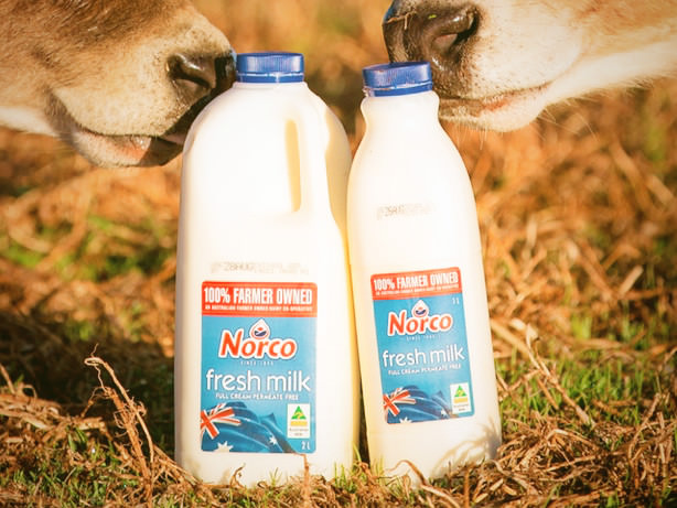 Norco Foods
