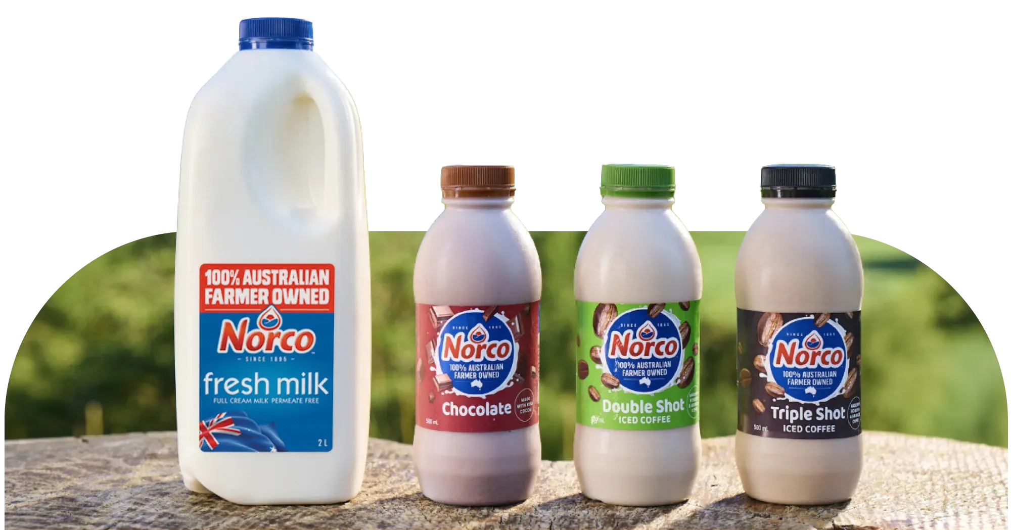 Norco and Cape Byron ice cream tubs with Norco fresh and chocolate milk
