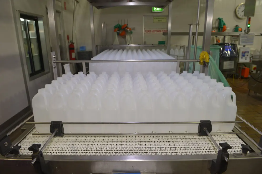 Empty milk bottles moving along a Norco factory production line